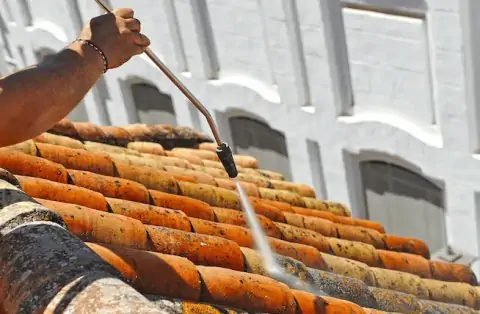 Nettoyage de toitures - Gujan-Mestras